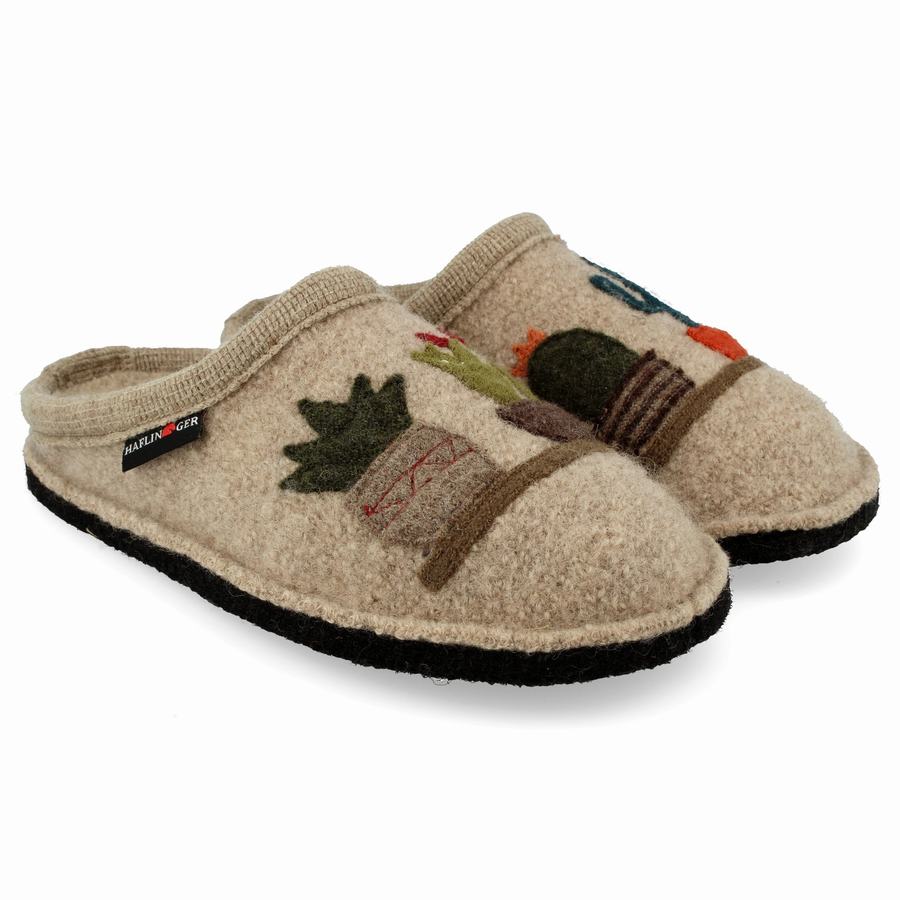 Haflinger Cactus Novelty Hausschuhe Herren Beige | UMI5622CZ