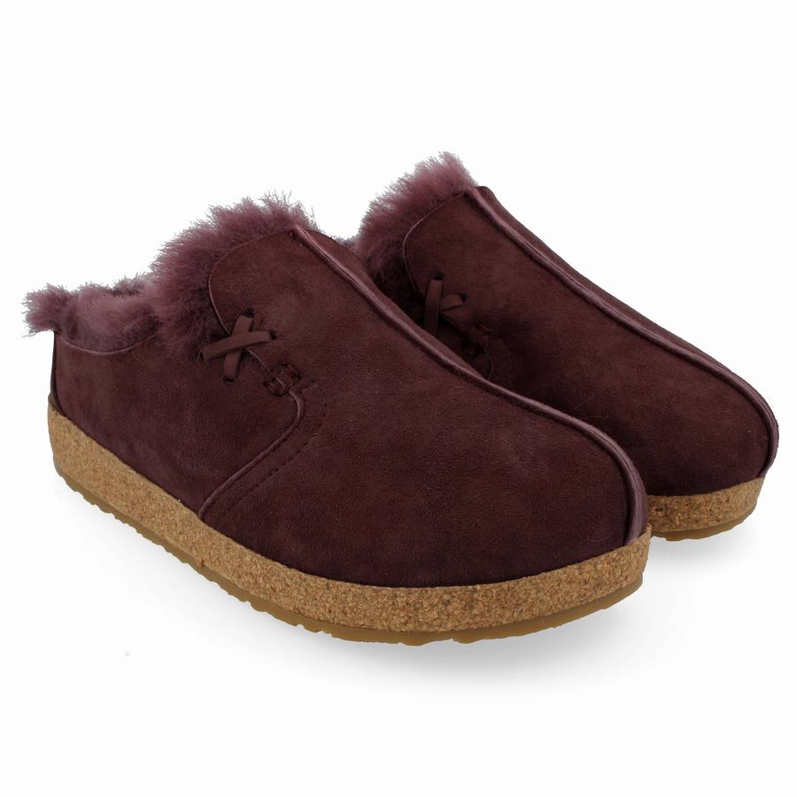 Haflinger Saskatchewan Clogs Herren Lila | BXB4318OF