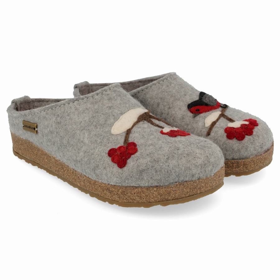 Haflinger Winterbird Clogs Damen Silber Grau | XXY4058WR