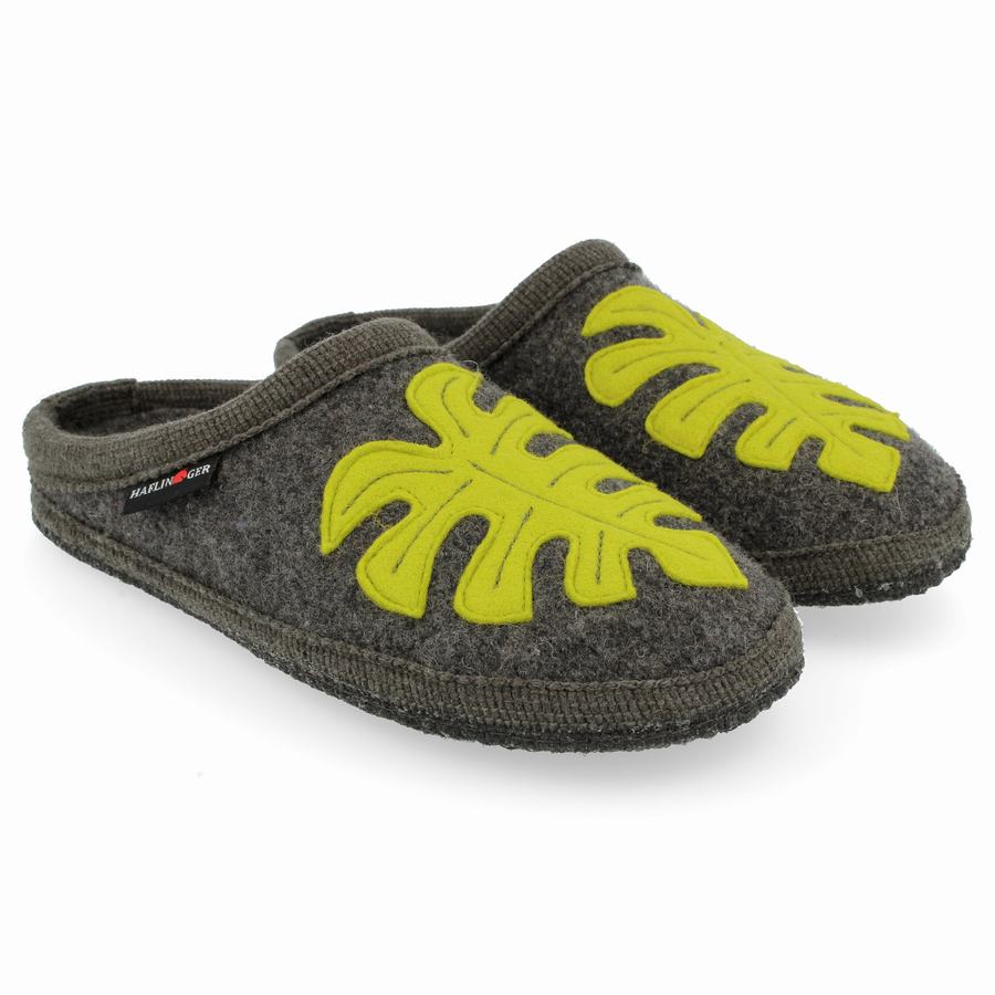 Haflinger Monstera Novelty Hausschuhe Damen Grau | QHA409UB